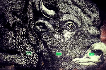 Mad Bull 2