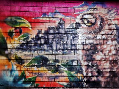 Wise Old Owl Sees What Is Happening