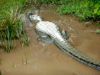 IMG 0071