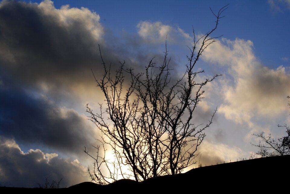 Mystery nature landscape