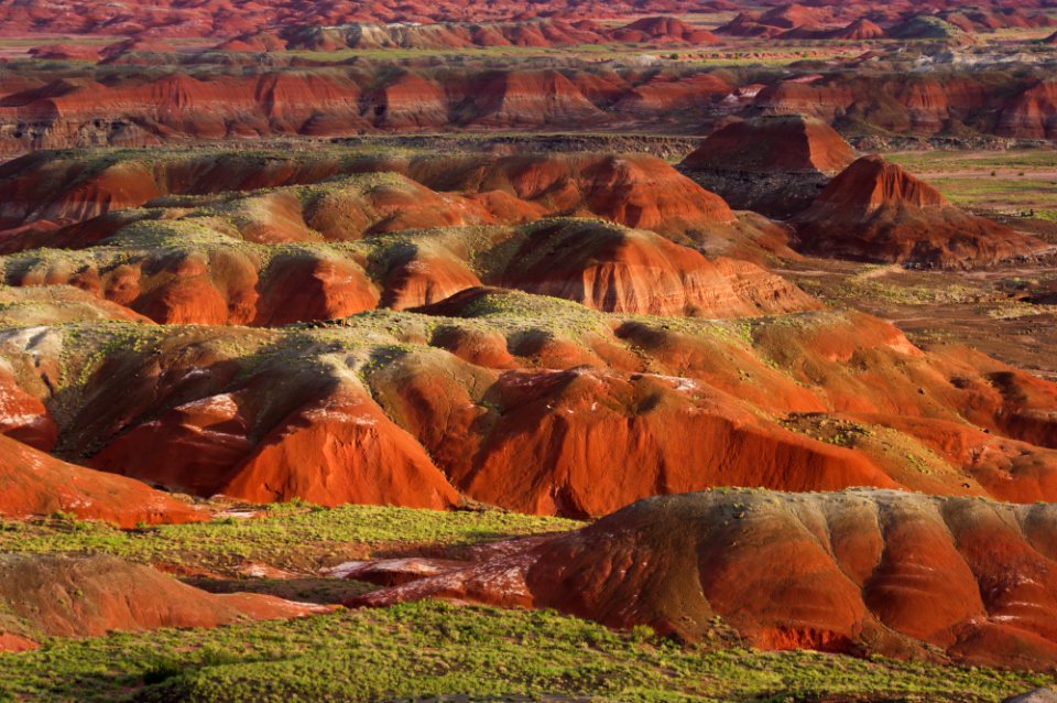 Petrified Forest National Wilderness Area North Unit