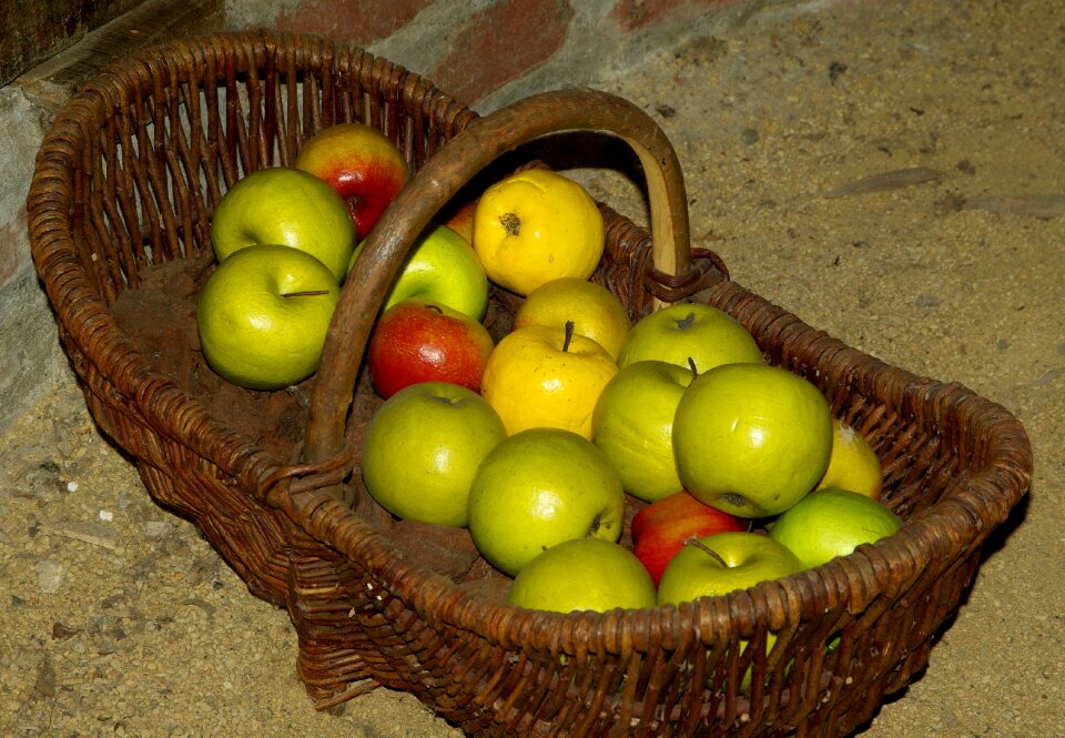 Basket apples collection