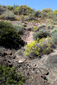 09-02-17 5666 Rim Trail