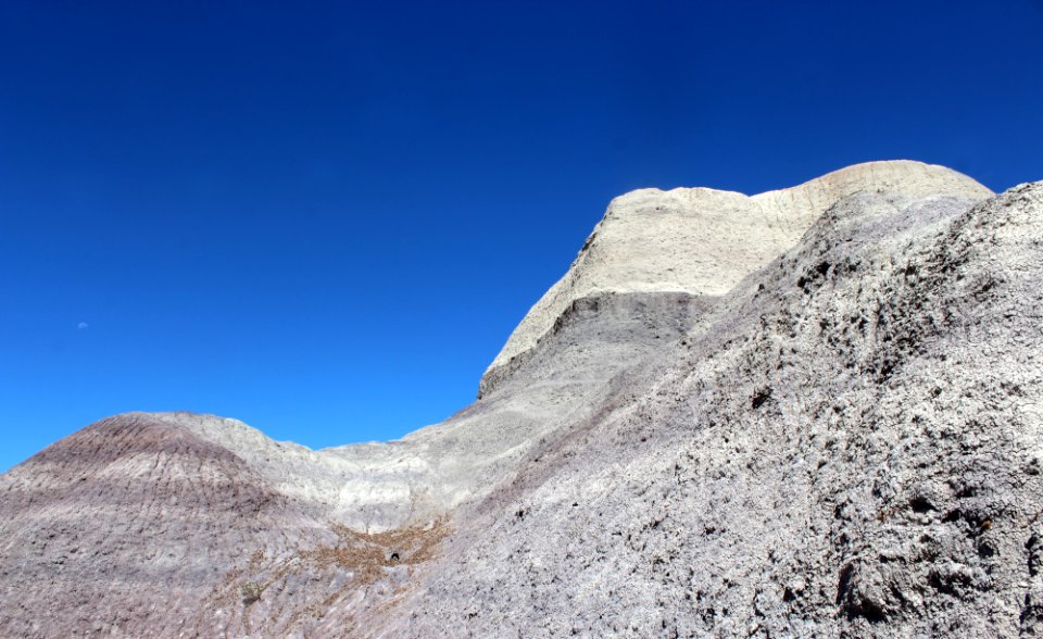 08-13-17 Blue Mesa Trail HL (12)