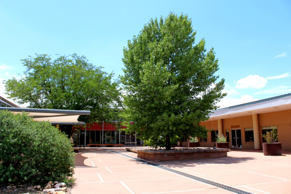 Painted Desert Community Complex
