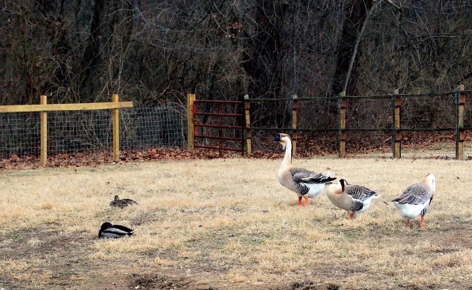 Suson Farms - February