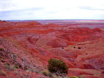 Owl Rock Member, Chinle Formation photo