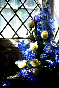 Flower festival 2