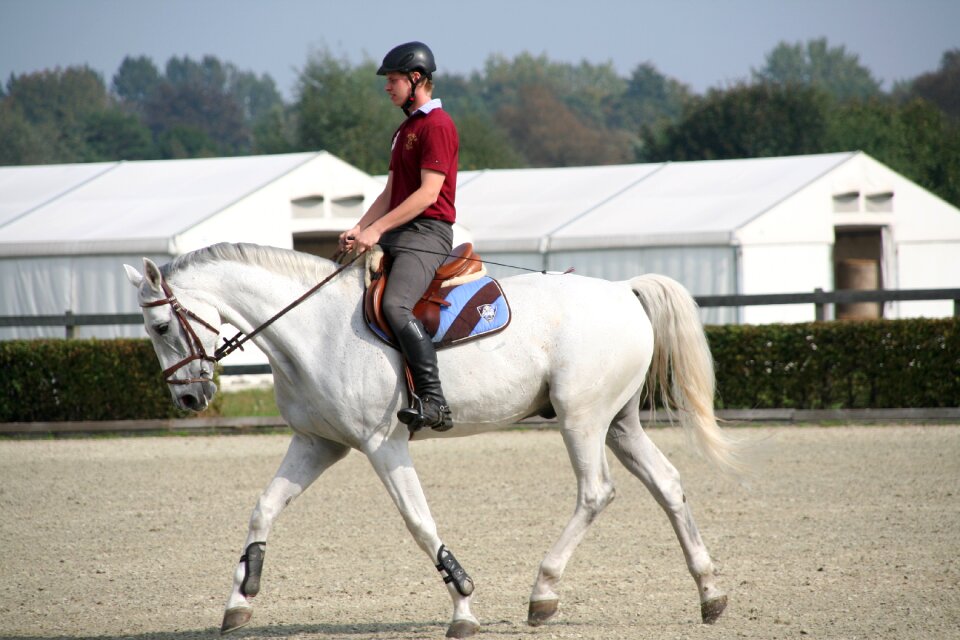 Dressage square saddle