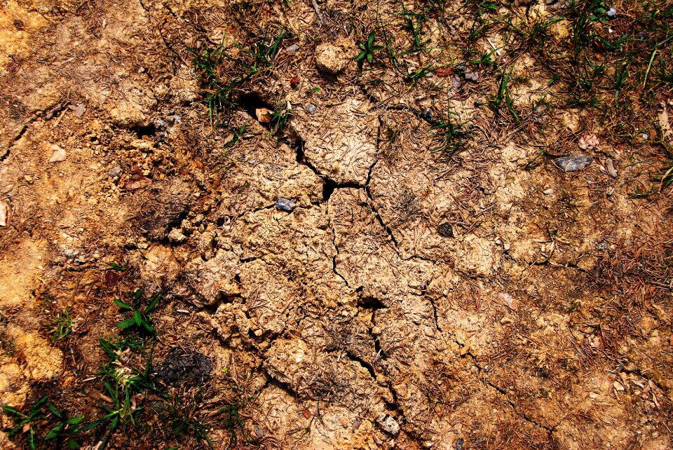 Brown parched cracks photo