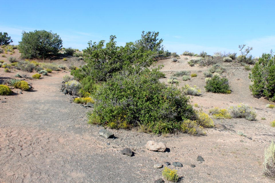 09-03-17 5714 Rim Trail