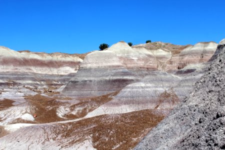 08-13-17 Blue Mesa Trail HL (15)