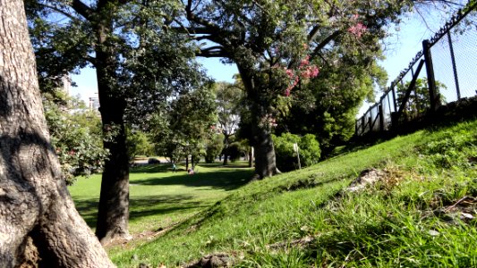 Bosquecillo...en Palermo