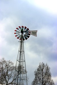 Suson Farms - February