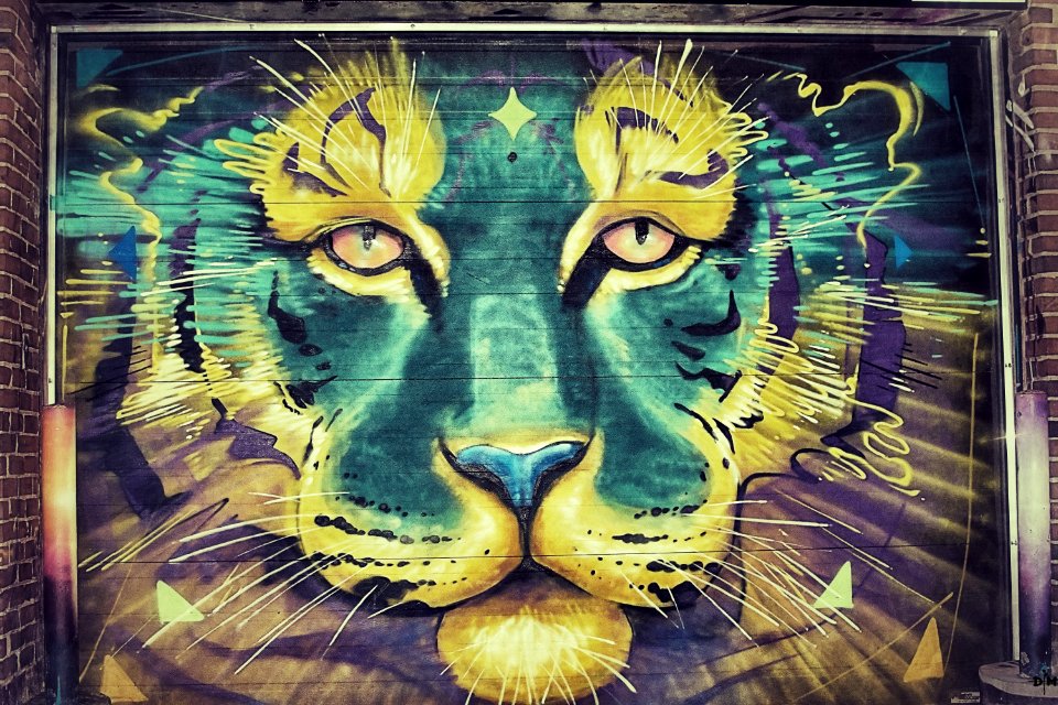 Tiger Garage