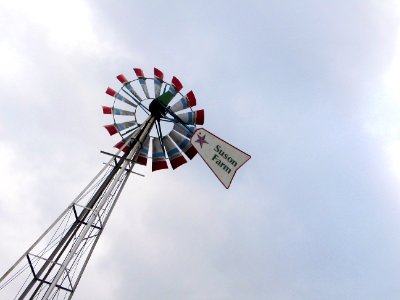 Suson Farms - February