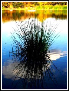 Blue Lake Beauty photo