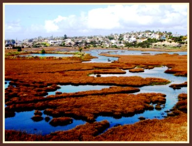 Lagoon by the Sea, Carlsbad, California photo