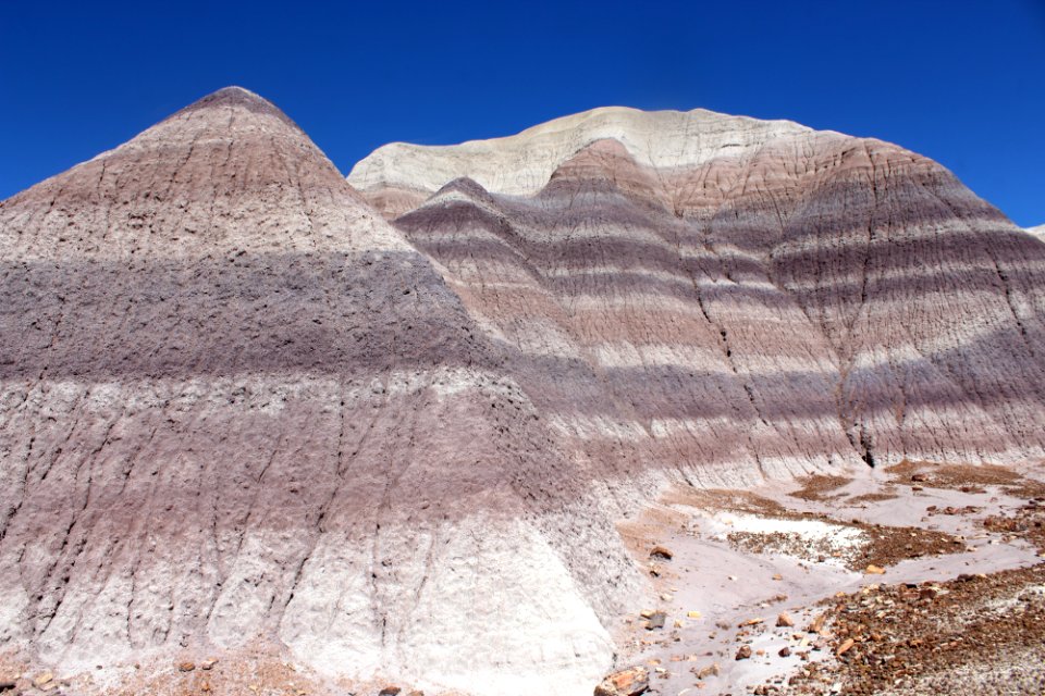 08-13-17 Blue Mesa Trail HL (24)