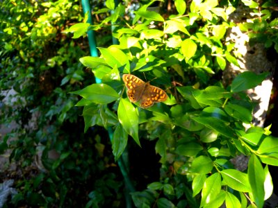 2012 05 12 s.margherita
