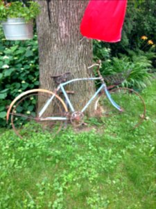 Old Bicycle