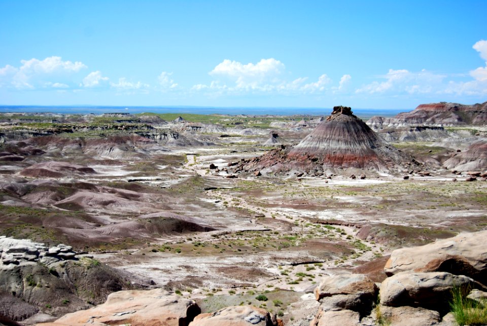 Petrified Forest National Wilderness Area South Unit