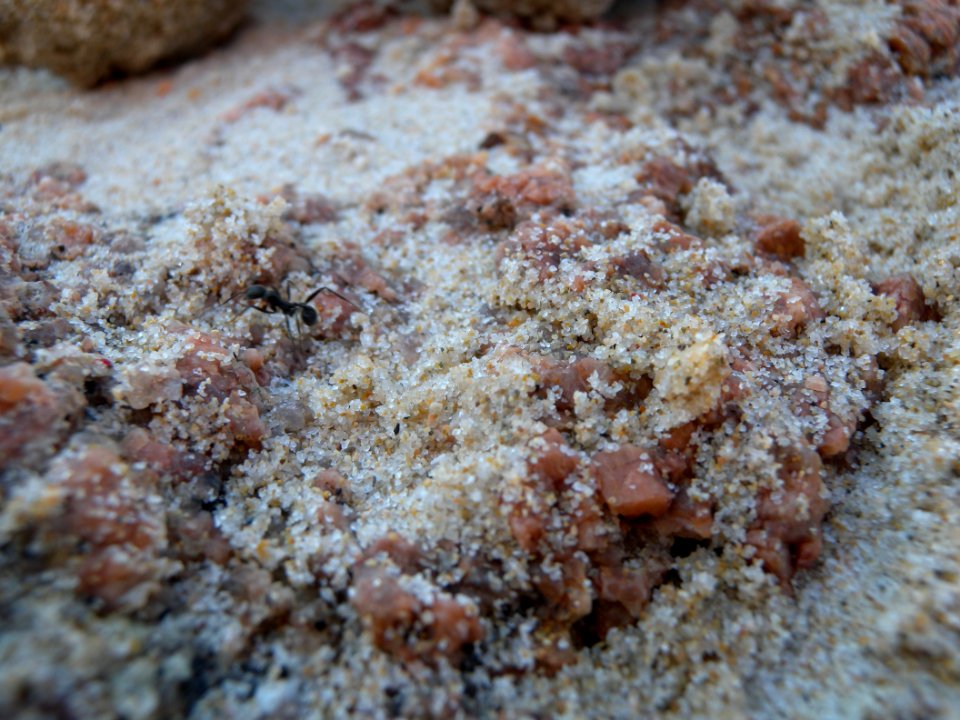 2012 05 12 s.margherita