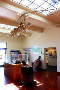 07-29-16 0290 Rainbow Forest Museum