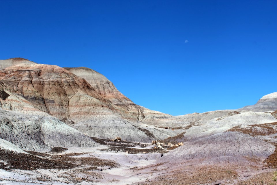 08-13-17 Blue Mesa Trail HL (16)