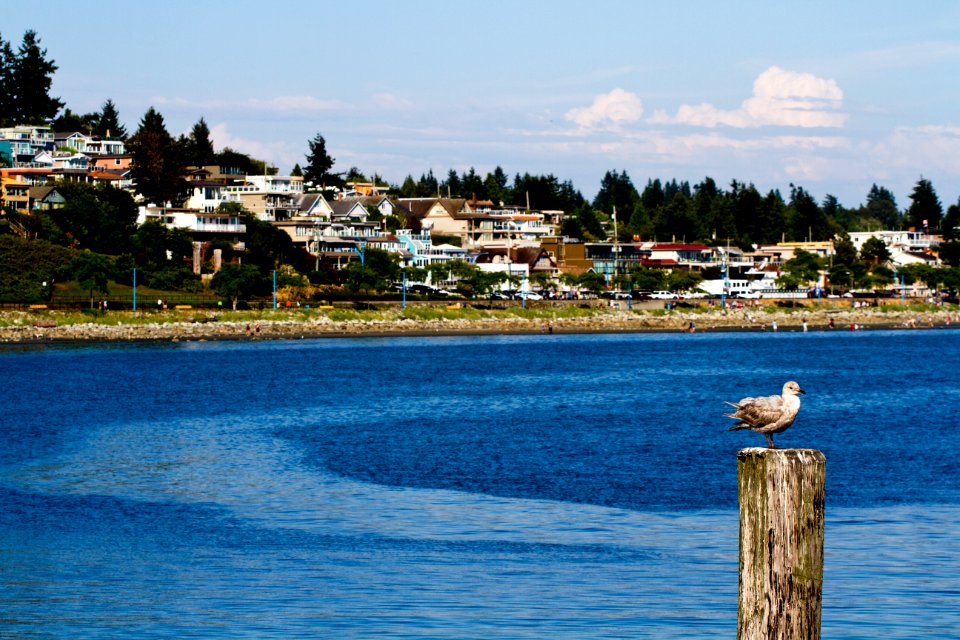 White rock