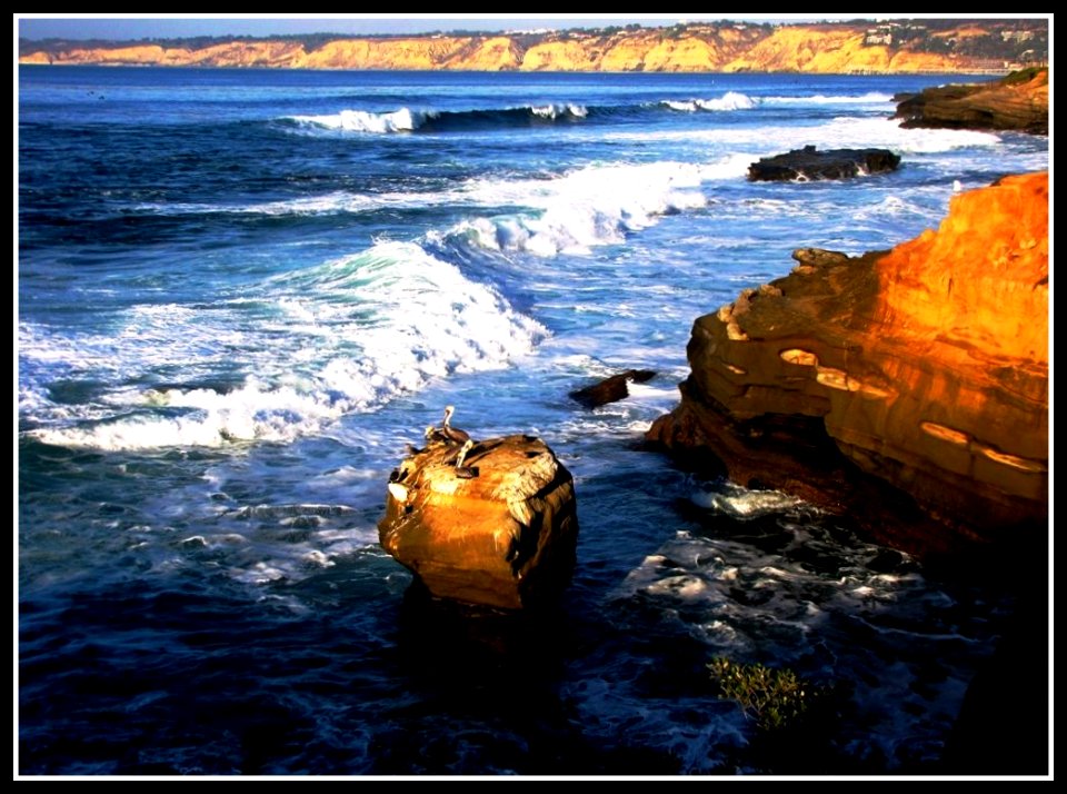 Walk on the Wild Side , La Jolla, California