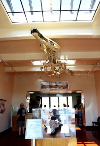 Rainbow Forest Museum
