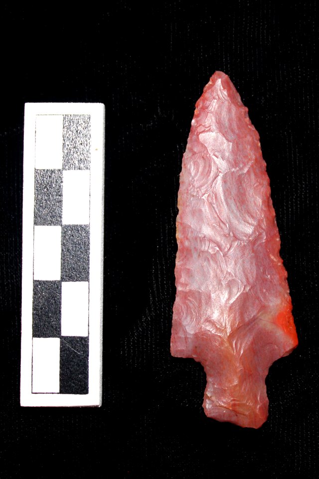 Petrified Wood Projectile Point