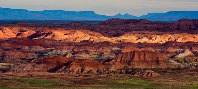 Petrified Forest National Wilderness Area North Unit