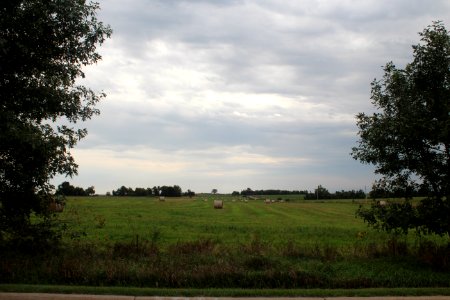 IMG 6358