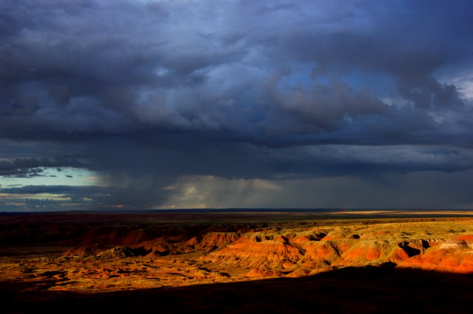 Monsoon Season