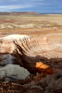 01-12-17 6257 Jasper Forest