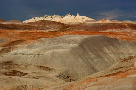 Blue Mesa Member with Sonsela Member in the Distance