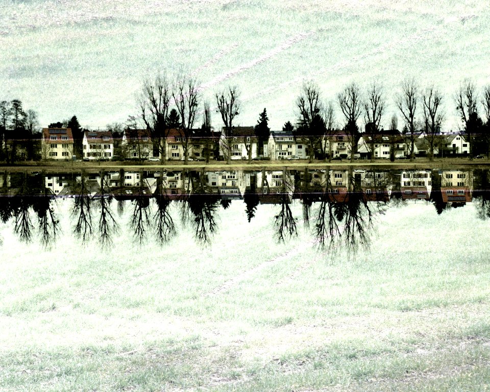 am Weiherfelder Feldweiher