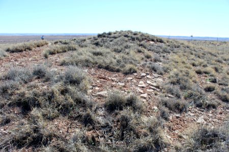 03-16-17 Dennis Roberts' photos of McCreery Pueblo Hike (10)