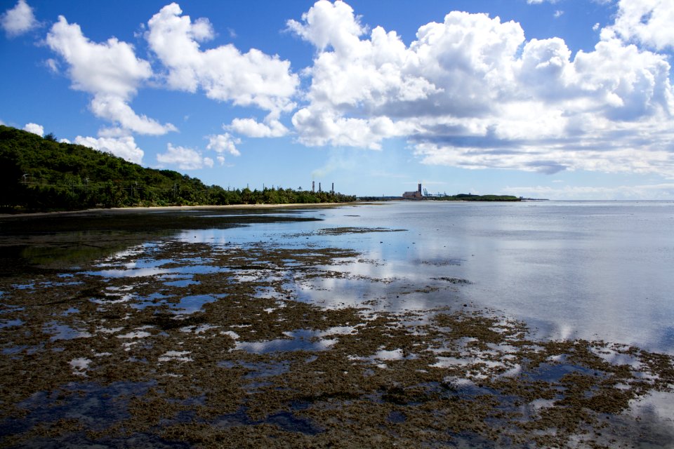 Fish Eye Marine Park Guam