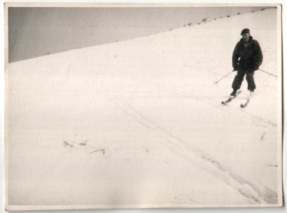 The Skier photo