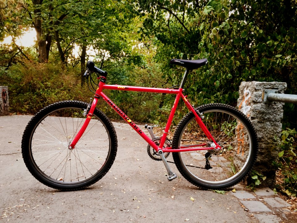 1991 Diamond Back Apex