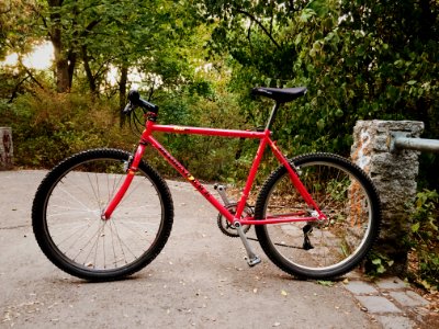 1991 Diamond Back Apex