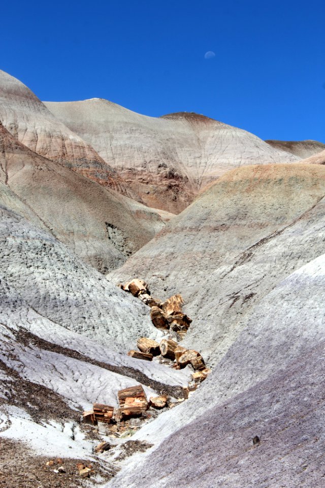 08-13-17 Blue Mesa Trail HL (18)