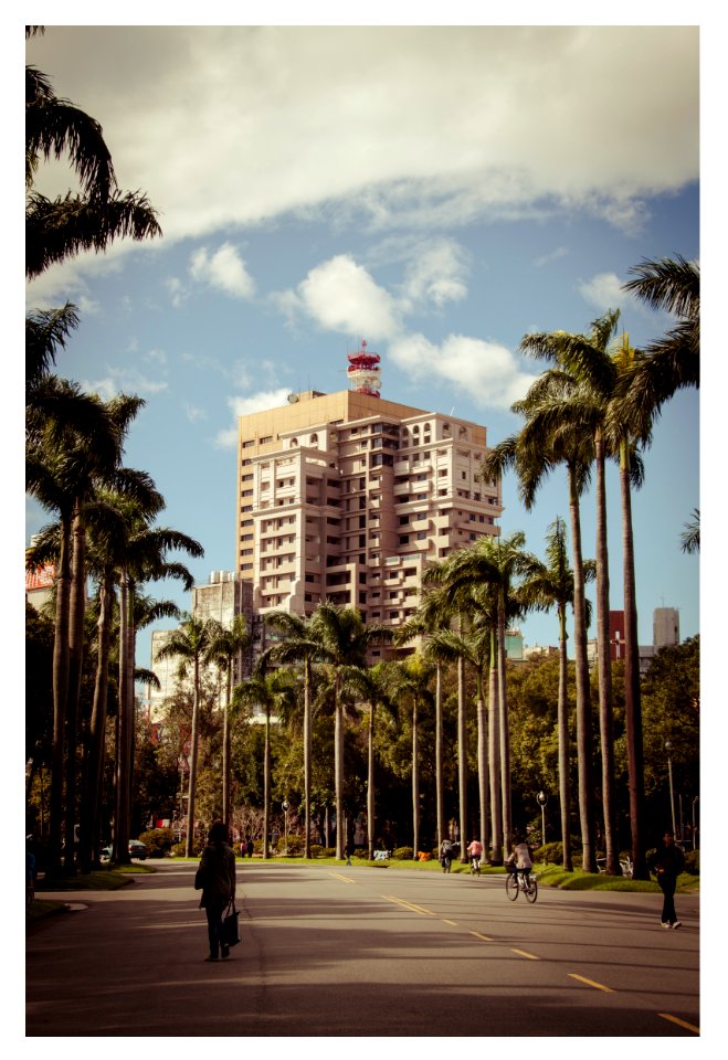 NTU Royal Palm Blvd