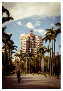 NTU Royal Palm Blvd