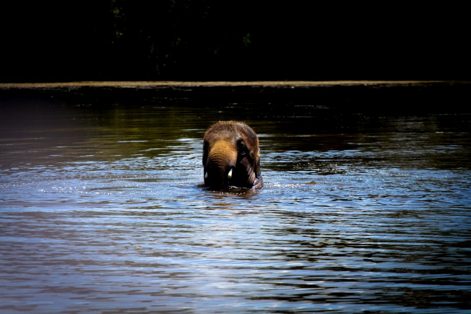 Water play