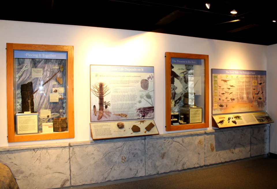 Rainbow Forest Museum Blue Mesa Room