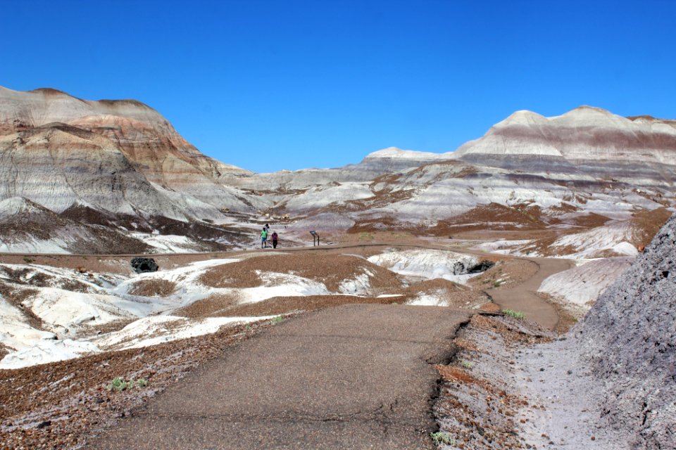 08-13-17 Blue Mesa Trail HL (14)